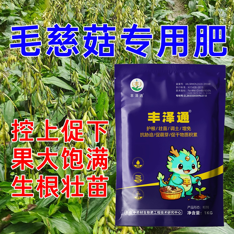正品丰泽通毛慈菇提质增产专用图片