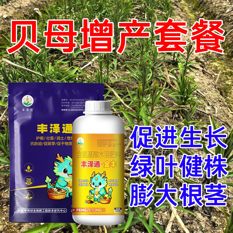 丰泽通+金丰药材种植通用水溶肥贝母提质增产抗病害膨大鳞茎生根图片