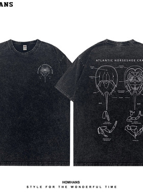 鲎hou马蹄蟹古生物活化石动物科学科普纯棉短袖复古水洗T学生休闲