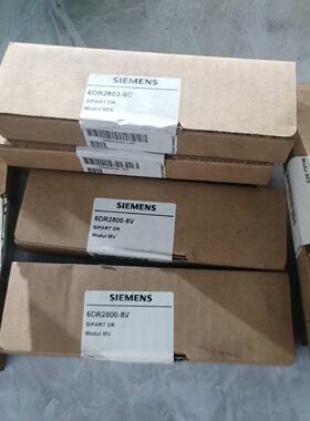 西门子6DR2800-8V/C输入备件