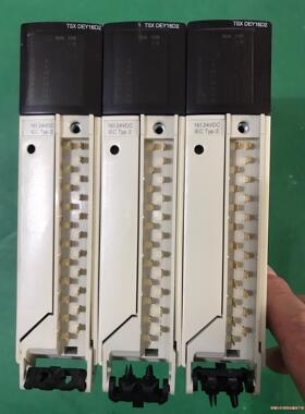 施耐德PLC  TSXDEY16D2 拆机现货，功能完好，成(议价商品）