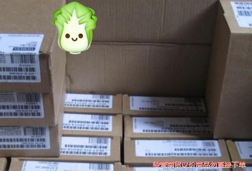 全新未开封6ES7313-1AD01-0AB0原装   现货骏营议价商品
