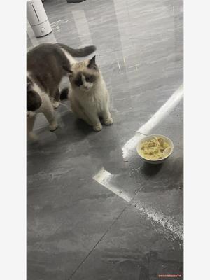 施耐德变频器ATV320U75N4B ATV320U55N4(议价商品）