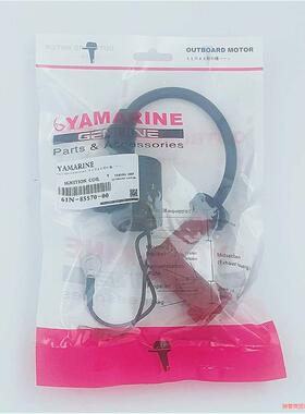 适用两冲雅马哈30高压包61N-85570-00游艇船外机配议价商品