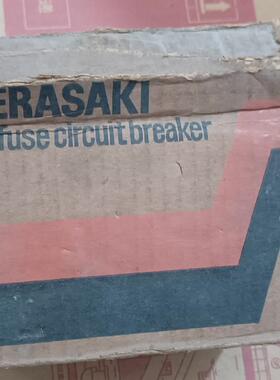 全新寺崎TERSAKI 船用空气开关TO-100BA，3P议价商品