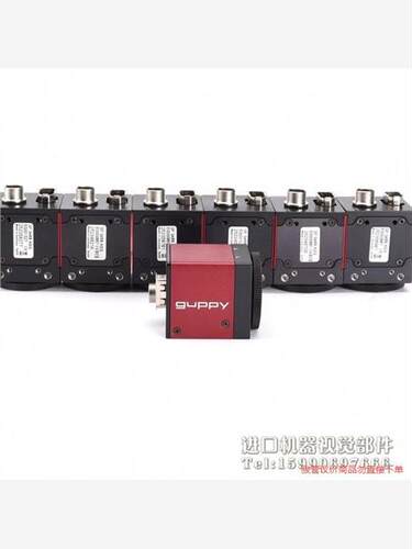 AVT guppy F-046B ASG 黑白工业 现货(议价商品）