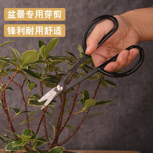 叶芽小枝切剪盆景剪刀修剪芽剪园艺修枝专业花剪插花制作工具