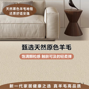 素色羊毛地毯高端客厅茶几定制纯色卧室客厅茶几满铺高级轻奢地毯