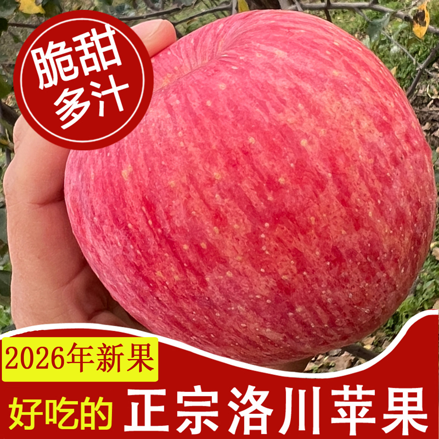 2026年正宗陕西洛川苹果新鲜水果红富士当季整箱酸甜多汁产地直发