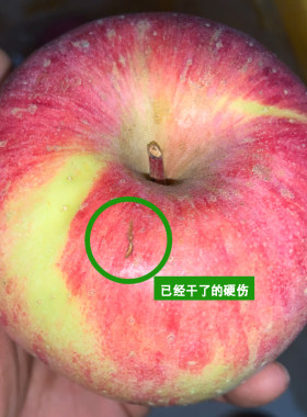 陕西红富士丑苹果瑕疵果二级果洛川水果产地直发磕碰伤小破皮