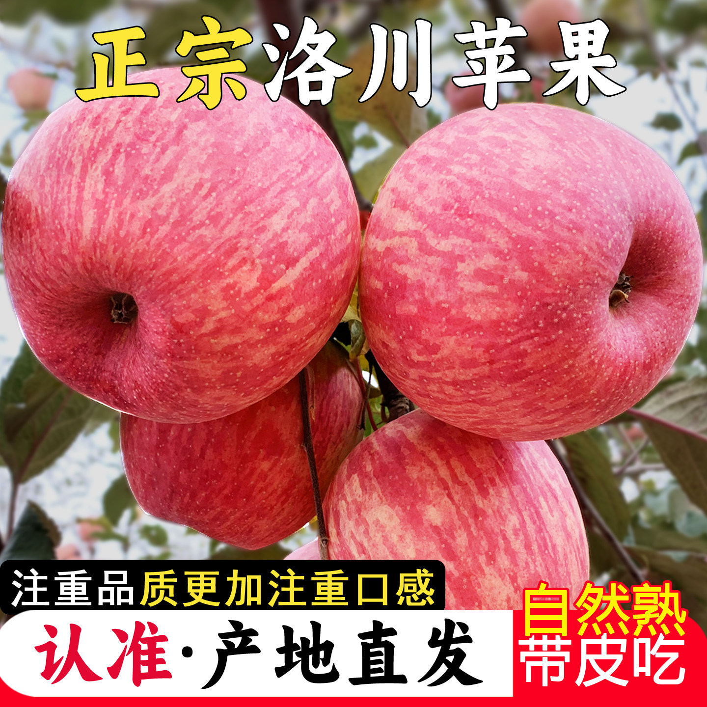 正宗陕西洛川苹果2025新鲜水果红富士当季整箱一级脆甜产地直发10,水产肉类/新鲜蔬果/熟食,苹果,淘宝优惠券,粉丝福利购,淘宝优惠卷