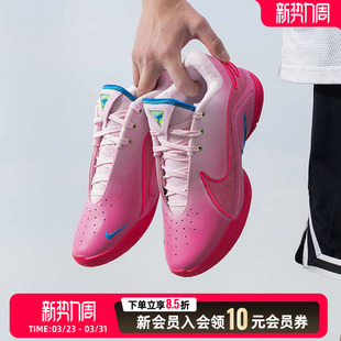 LEBRON 男鞋 XXII低帮轻便休闲鞋 运动鞋 HV8456 耐克 篮球鞋 NIKE