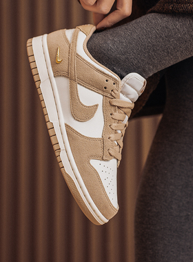 NIKE耐克女鞋滑板鞋26春季新款运动鞋低帮轻便休闲鞋IO4244-101