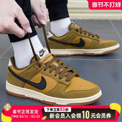 NIKE耐克男子DUNK低帮复古板鞋时尚轻便运动鞋休闲鞋IB6399-300