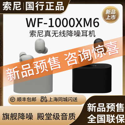【新品预售】Sony/索尼WF-1000XM6 双芯超旗舰降噪真无线耳机