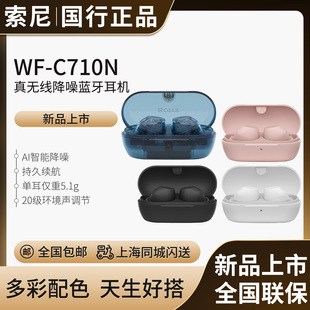 【新品上市】Sony/索尼 WF-C710N  休闲舒适真无线降噪蓝牙耳机