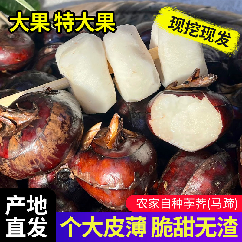 广西阳朔马蹄精选特大果脆甜多汁水果荸荠蔬菜煲汤农家新鲜现挖,水产肉类/新鲜蔬果/熟食,荸荠/马蹄,淘宝优惠券,粉丝福利购,淘宝优惠卷