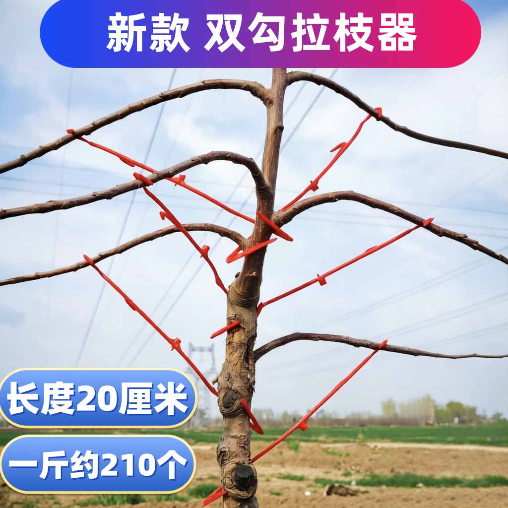 果园双钩塑料拉枝定型器