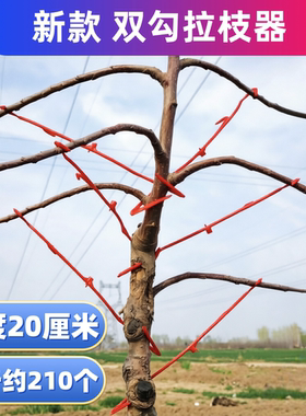 果园双钩塑料拉枝定型器