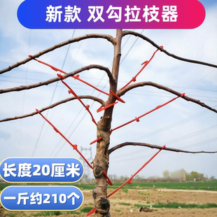 双钩塑料拉枝器果树双勾拉枝定型器拉枝神器拉下垂吊枝器果园厂家