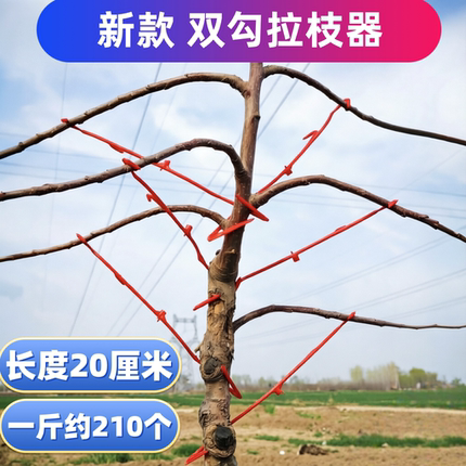 双钩塑料拉枝器果树双勾拉枝定型器拉枝神器拉下垂吊枝器果园厂家
