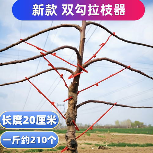 果园双钩塑料拉枝定型器