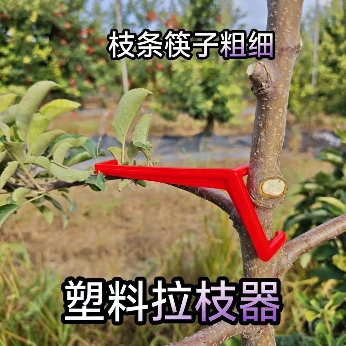 果树拉枝器塑料压枝器拉枝定型器樱桃苗木花卉苹果树桃开角别枝器
