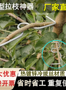 果树拉枝器定型器花卉月季压弯开角别枝神器苹果樱桃树m型拉枝器