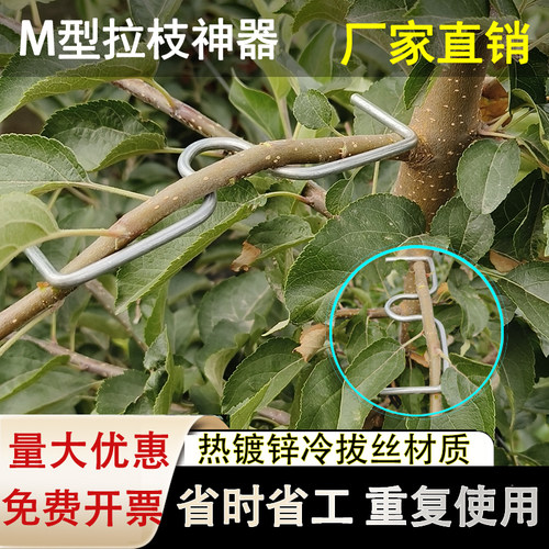 拉枝器果树定型压弯M型拉枝器