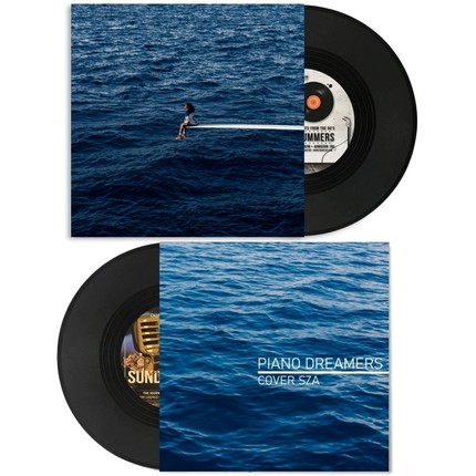 美国歌手诗莎SZA黑胶唱片封套主题道具复古封面墙面装饰摆设背景