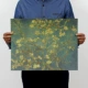 E73 van gogh-xinghua
