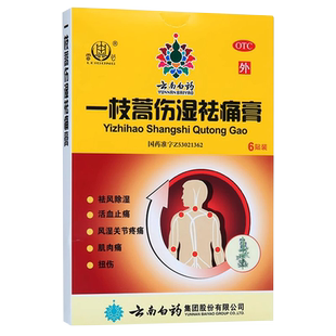 云南白药雷公一枝蒿伤湿祛痛膏2贴*3袋/盒祛风除湿风湿关节疼痛