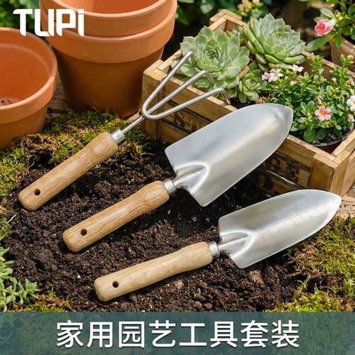 不锈钢园艺养花多肉家用铲子套装