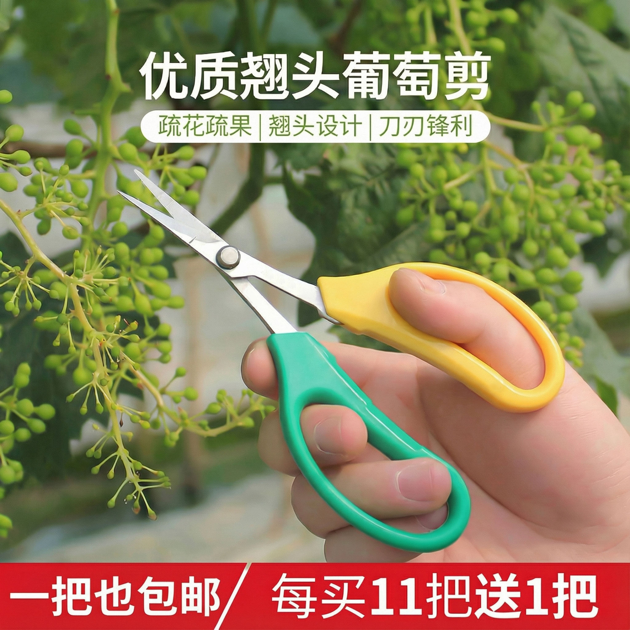 翘头葡萄修果专用剪刀疏果稀果剪花椒采果蔬果剪枇杷橘子采摘修枝
