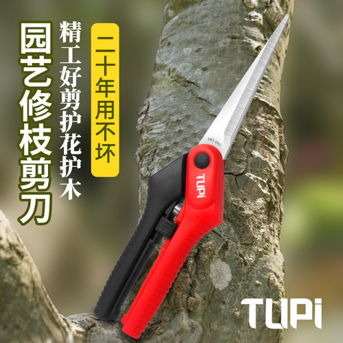 修枝摘果高硬耐磨SK5刀头园艺刀剪园林盆栽果树修剪园艺修枝剪刀