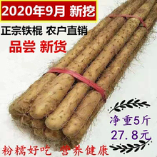 【金牌卖家】5斤 新鲜温县铁棍山药约 河南焦作铁棍杆棒淮怀山药