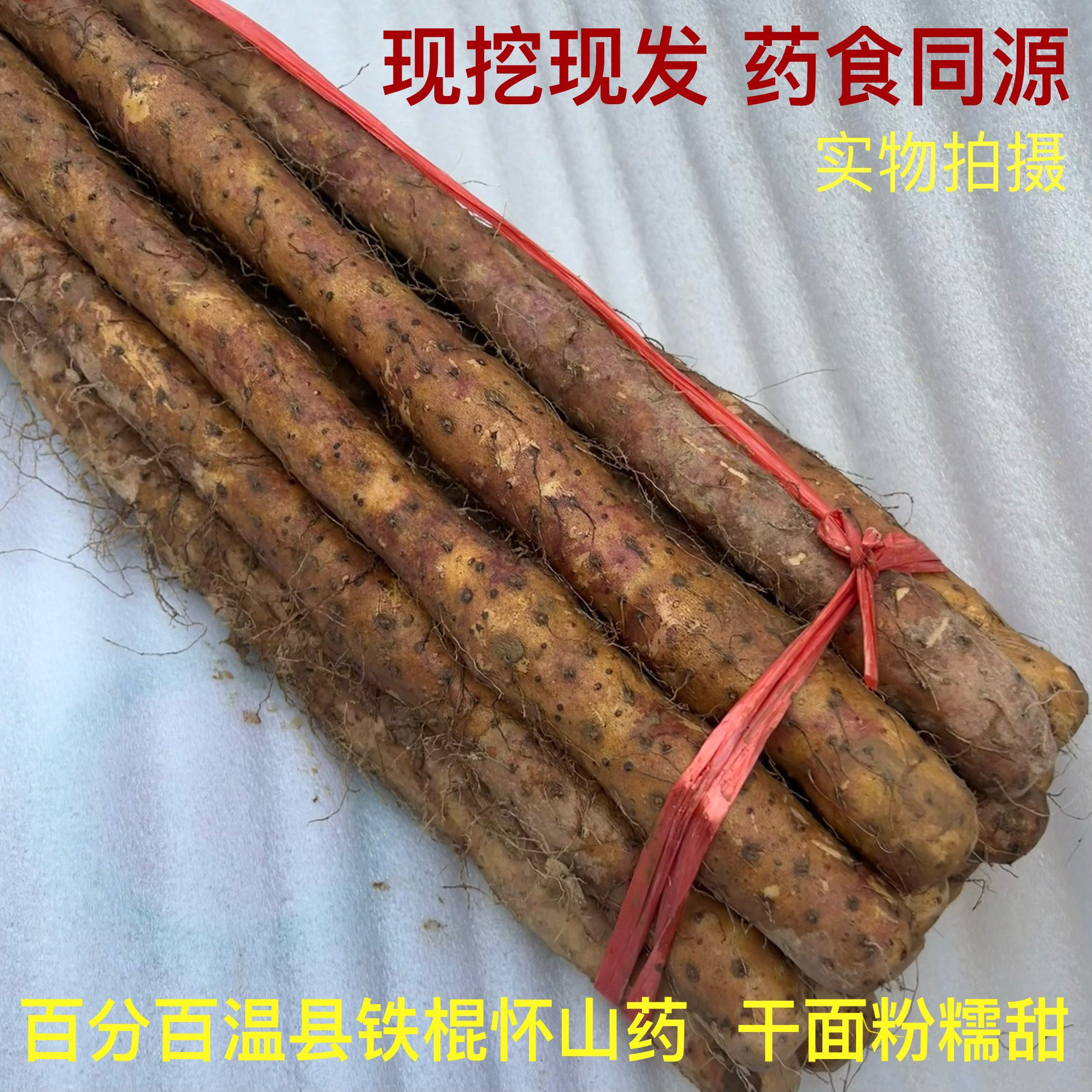 河南焦作温县铁棍杆山药新鲜怀山药垆土铁锈红【金牌卖家】淮山药