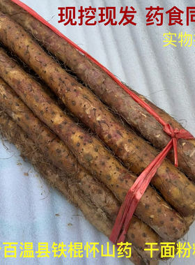 金牌卖家5斤铁棍山药河南焦作