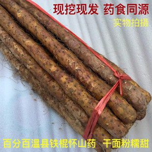 河南焦作温县铁棍杆山药新鲜怀山药垆土铁锈红【金牌卖家】淮山药