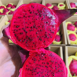 闫钦广果业海南红心火龙果整箱包邮孕妇应季新鲜水果