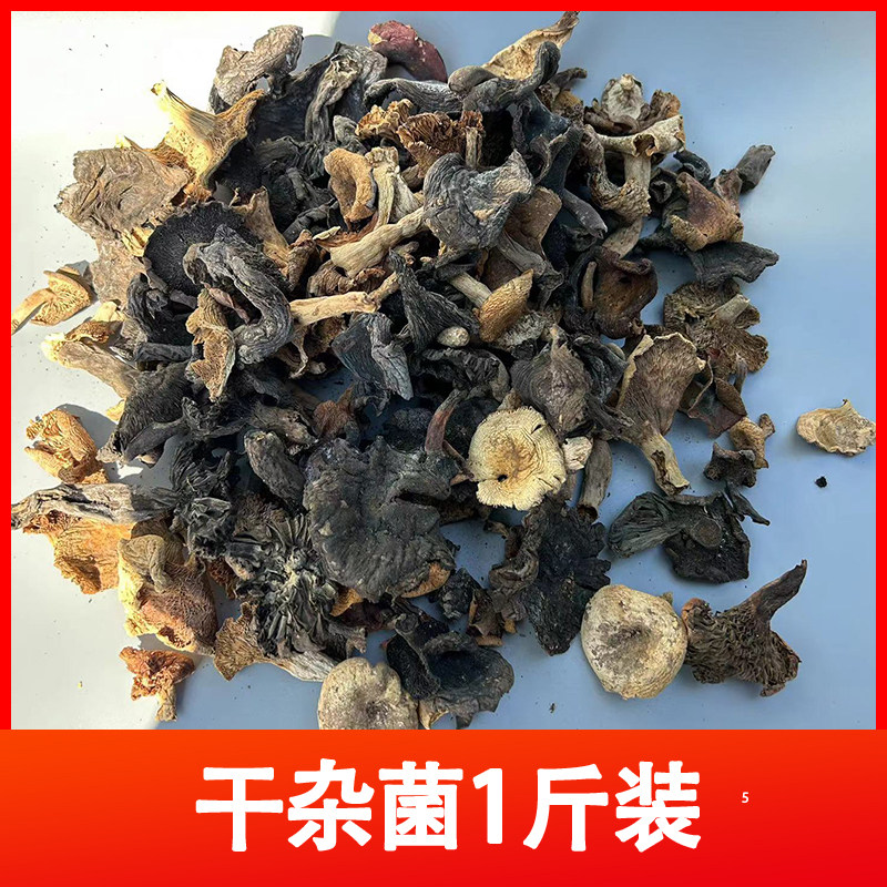 重庆石柱特产正宗食用野生菌杂菇野菌子干货500g干菌子统货野蘑菇