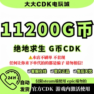 pubgg币绝地求生 11200 G币 充值吃鸡金币激活码CDK箱子套装皮肤