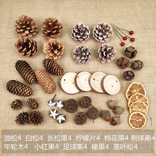 幼儿园结构材料diy自然木片松果