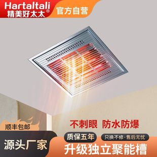 黄金管浴霸灯30x30卫生间超薄碳纤维光波浴室浴霸灯管取暖器