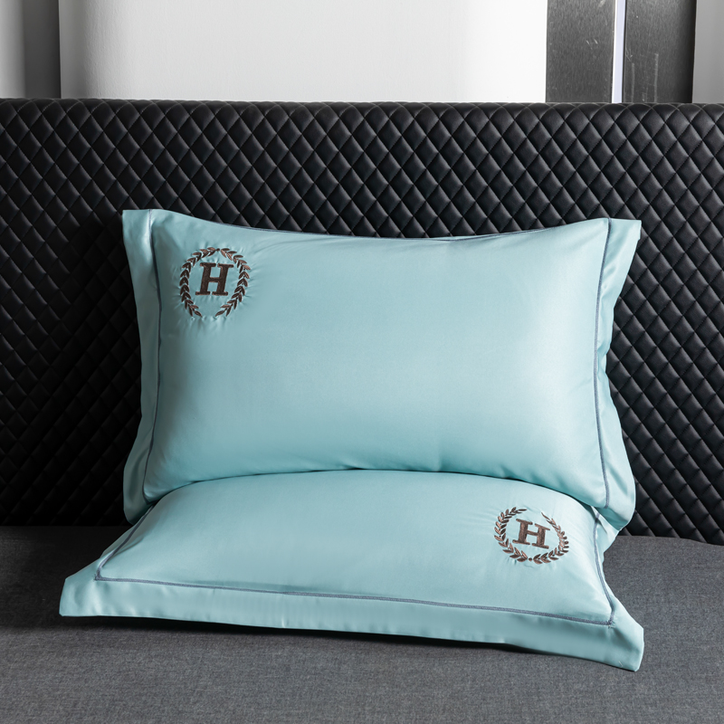 夏季水洗冰丝枕套凉感单人枕头套家用单个枕芯套48x74cm一对装2只