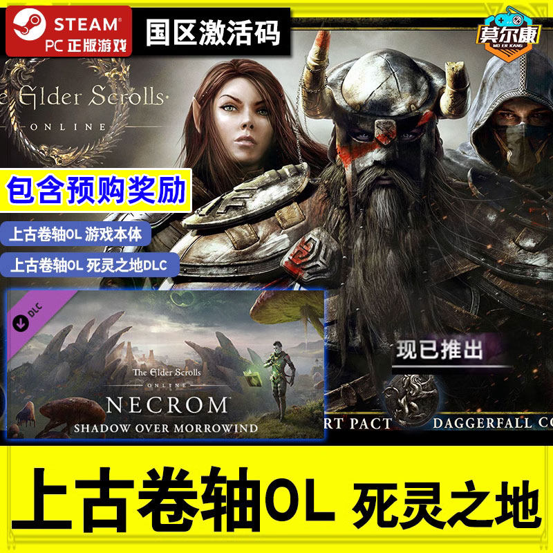 STEAM 上古卷轴OL 死灵之地 激活码CDKEY 收藏版死灵之地Necrom PC正版游戏 大型多人在线属于什么档次？