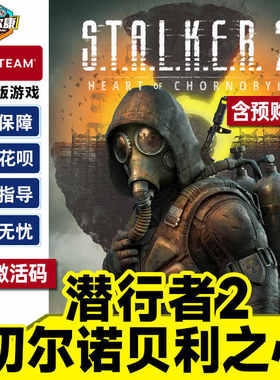 Steam 潜行者2 切尔诺贝利之心 国区激活码CDKEY 正版PC游戏 现货