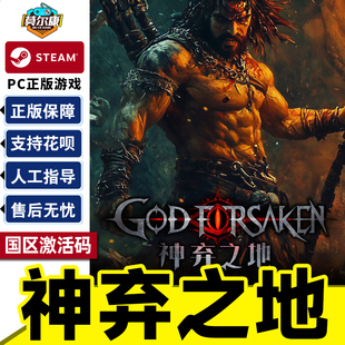 CDKey GOD 中文游戏 神弃之地 弹幕射击策略动作类 PC正版 激活码 国区 steam FORSAKEN