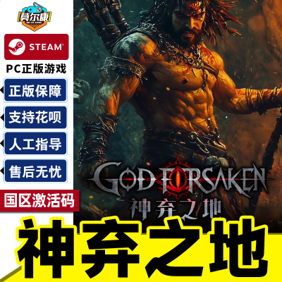 steam 神弃之地 激活码CDKey GOD FORSAKEN 国区 PC正版中文游戏 弹幕射击策略动作类