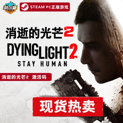 激活码steam消逝的光芒2